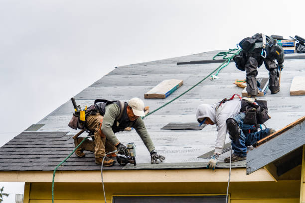 Professional Gutter Installation technician working in Linwood, KS
